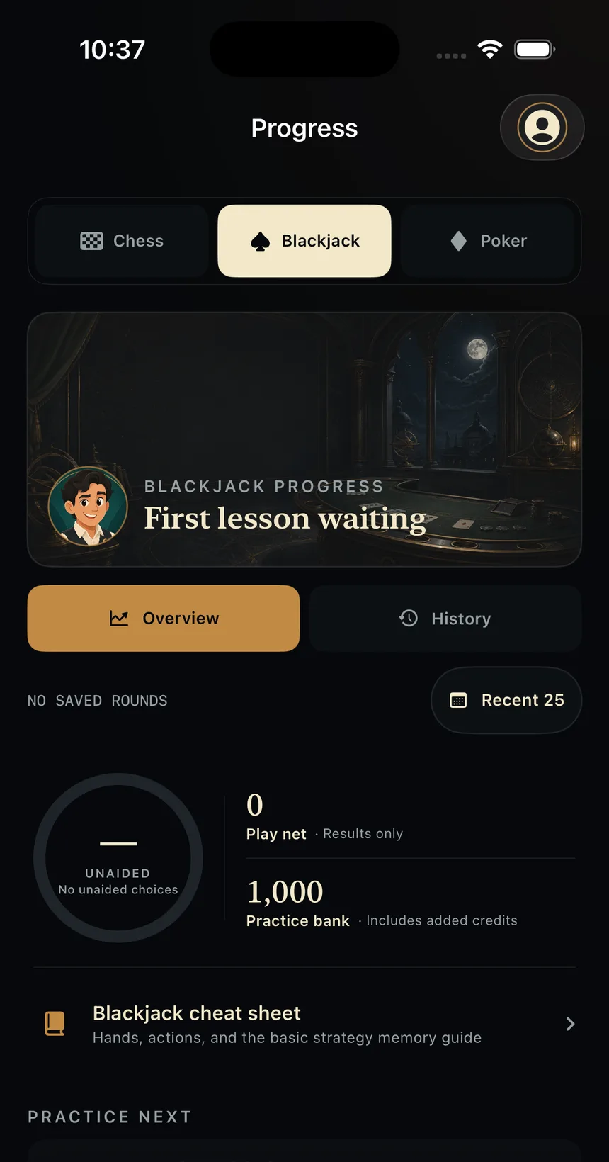Blackjack progress showing strategy accuracy and play results